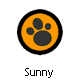Sunny